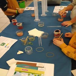 atelier scientifique écologie