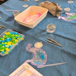 Alimentation et système digestif